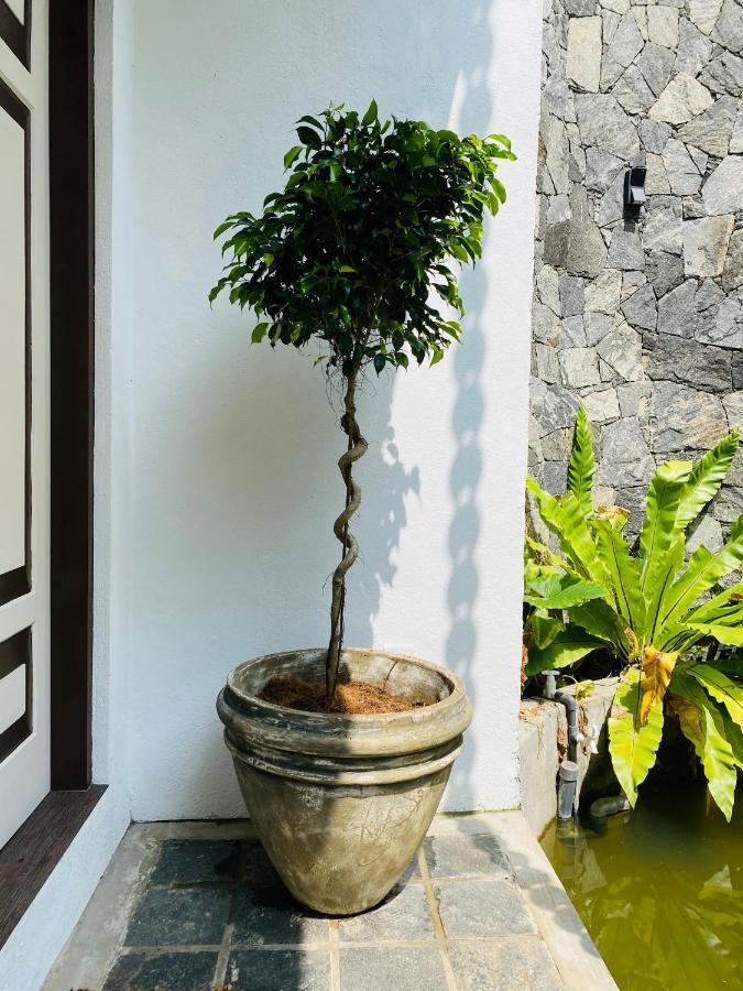 Thaprobana Villa Tangalle - Private Villa Екстер'єр фото