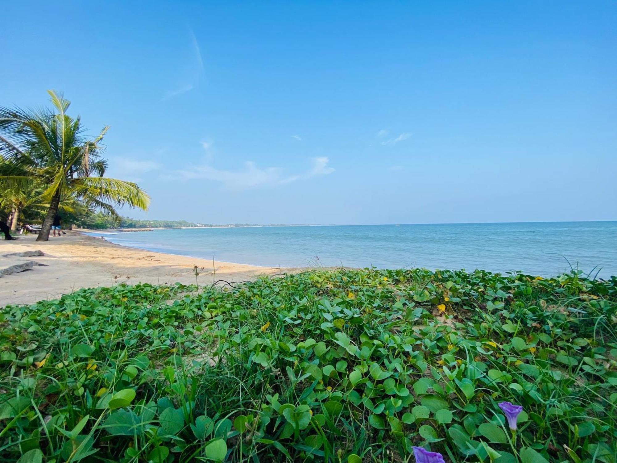 Thaprobana Villa Tangalle - Private Villa Екстер'єр фото
